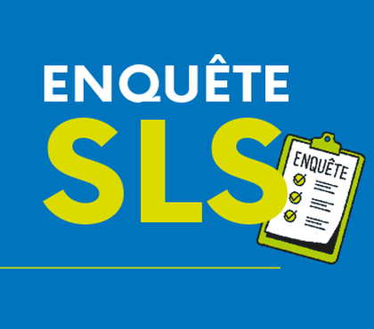 Enquêtes SLS : Déclarez votre situation en ligne